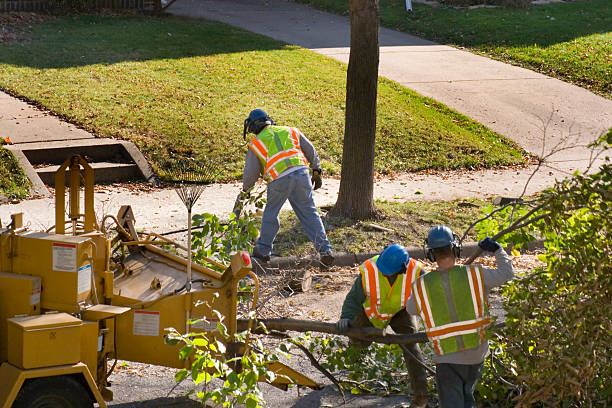 Seasonal Cleanup (Spring/Fall) in Center, TX